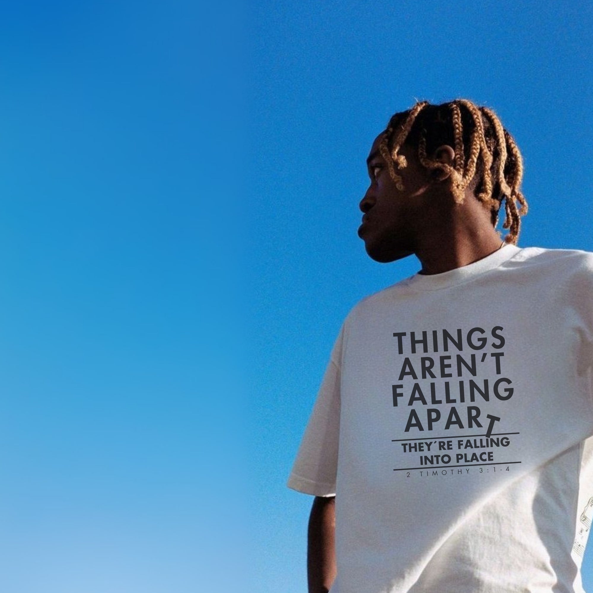 ENCAJANDO EN SU LUGAR